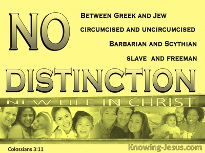 Colossians 3:11 No Distinction Between Jew And Greek (yellow)